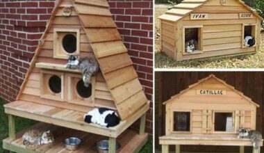 Cat houses for outside diy