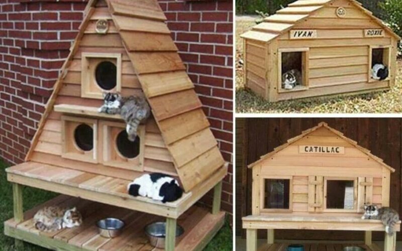 Cat houses for outside diy