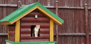 cat houses for outside diy