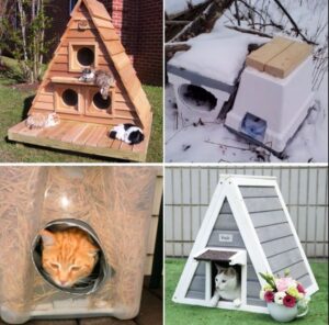 Types of DIY Cat Houses; Cat houses for outside diy