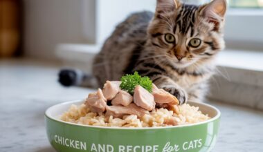 Chicken and Rice Recipe for Cats Vet-Approved, Easy, and Healthy