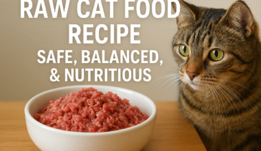 raw cat food recipe